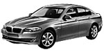 BMW F10 P218F Fault Code